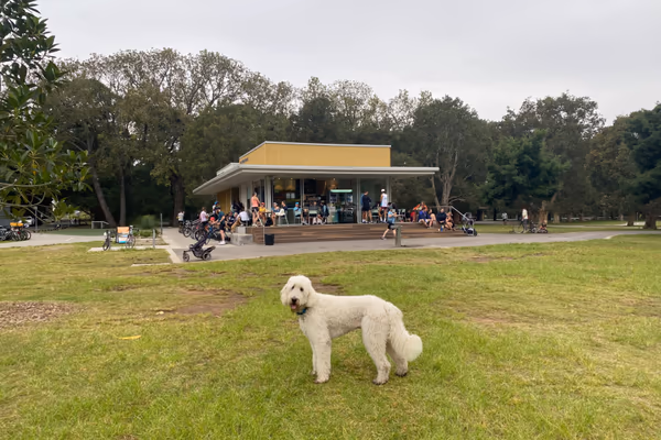 Centennial Dog Park photo 2